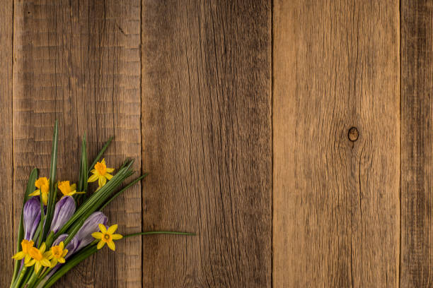 istock Daffodils and crocuses on the old wooden table. Top view. 1069624306