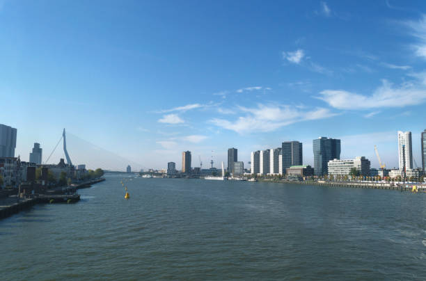 view on river in Rotterdam with modern cityscape and bridge across it