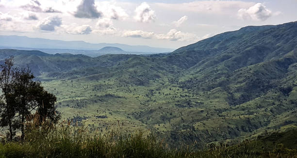 widok na park narodowy virunga - virunga national park zdjęcia i obrazy z banku zdjęć