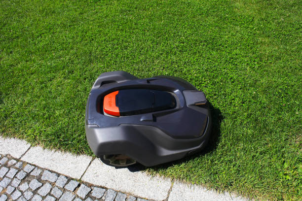 Summer landscape with green lawn and automatic robot lawnmower mows grass, top view stock photo