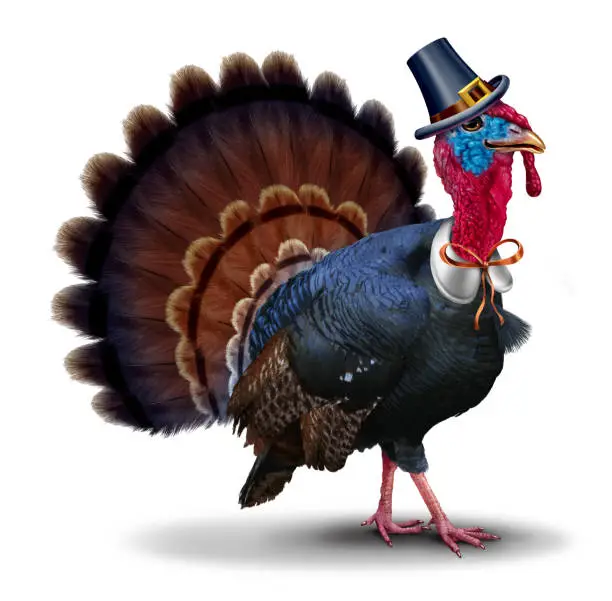 Photo of Thanksgiving Turkey Character