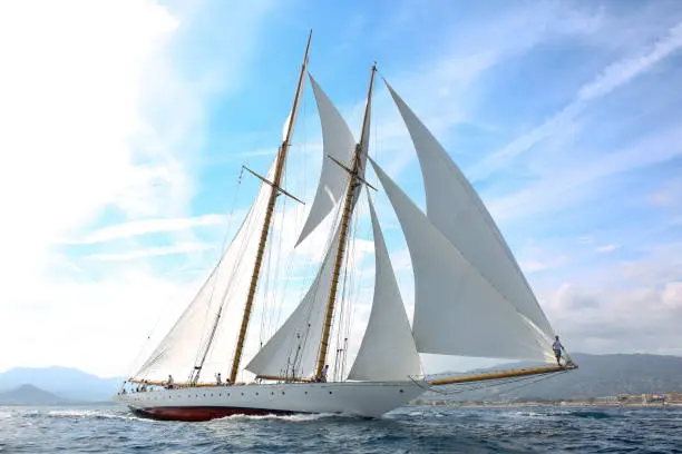 sailboat regatta