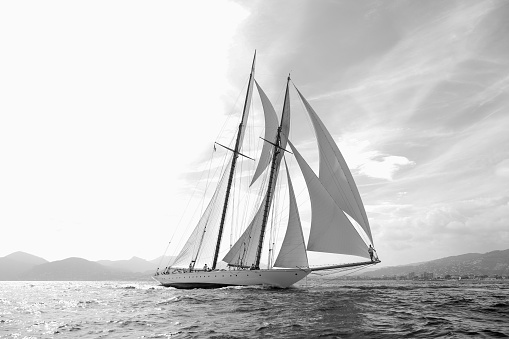 sailboat regatta
