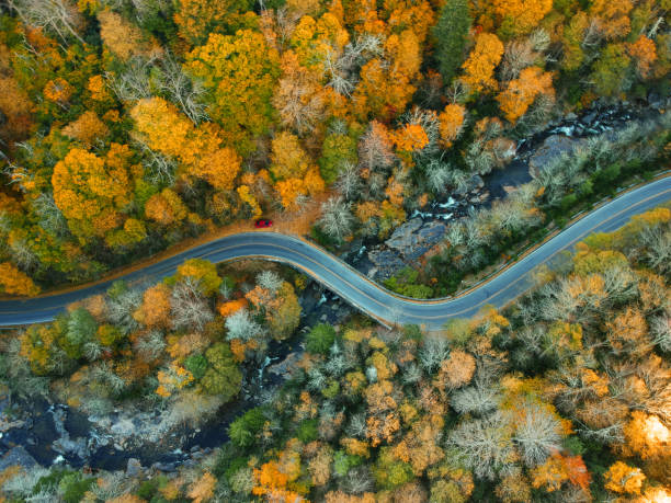 Aerial Drone view of windy road through Autumn / fall in the Blue ridge of the Appalachian Mountains near Asheville, North Carolina. Vibrant red, yellow, orange leaf foliage colors on the curve of mountain road side. stock photo