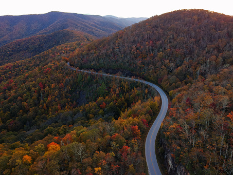 Aerial Drone view of Winding Road through Autumn / fall in the Blue ridge of the Appalachian Mountains near Asheville, North Carolina. Vibrant red, yellow, orange leaf foliage colors on the curve of mountain road side.