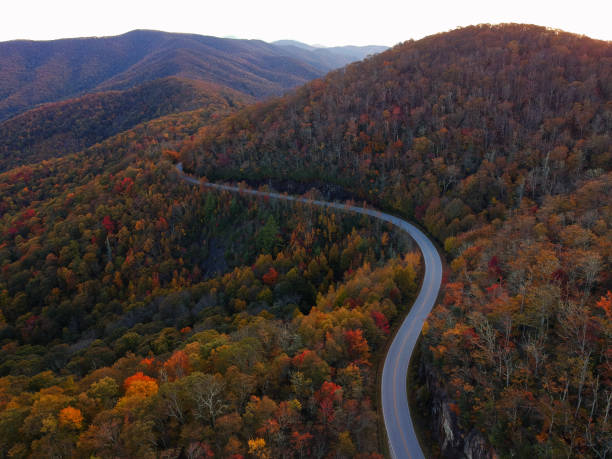 Aerial Drone view of Winding Road through Autumn / fall in the Blue ridge of the Appalachian Mountains near Asheville, North Carolina. Vibrant red, yellow, orange leaf foliage colors on the curve of mountain road side. stock photo