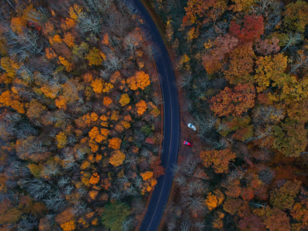 drone aéreo ver de camino de la bobina en otoño / caída en el canto azul de las montañas apalaches cerca asheville, carolina del norte. colores de follaje de hoja roja, amarilla, naranja vibrante en la curva del lado de la carretera de montaña. - great smoky mountains great smoky mountains national park leaf autumn fotografías e imágenes de stock