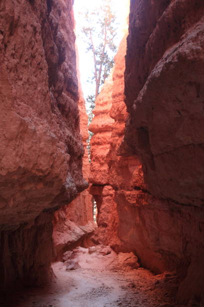 istock Bryce Canyon National Park Utah 1069650350