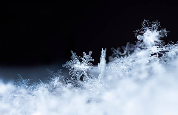 istock snowflake, little snowflake on the snow 1069661830