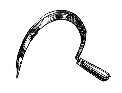 Antique engraving illustration: Sickle