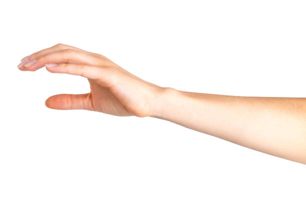 istock Woman hand showing picking up pose or holding 1069668608