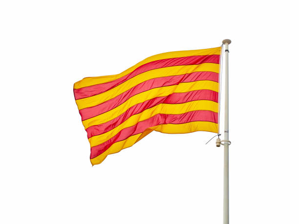 Official Flag of Catalonia, called Senyera isolated on white background.