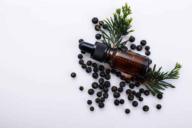 istock juniper essential oil on a white background 1069675304