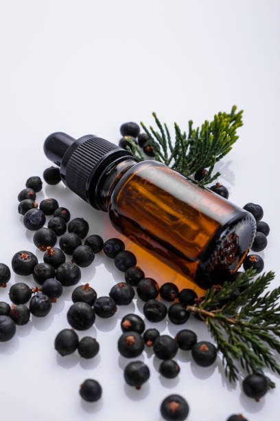 istock juniper essential oil on a white background 1069675346