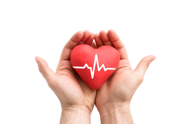 istock Red heart with pulse in man's hands. 1069675944