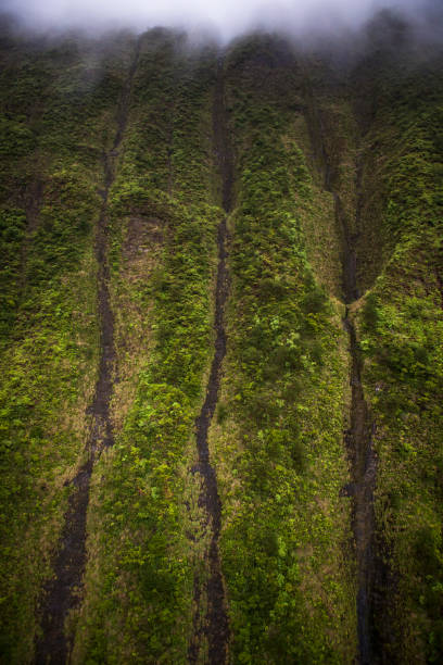 산 waialeale, 카우아이 섬, 하와이 제도 - oahu stream hawaii islands tropical rainforest 뉴스 사진 이미지