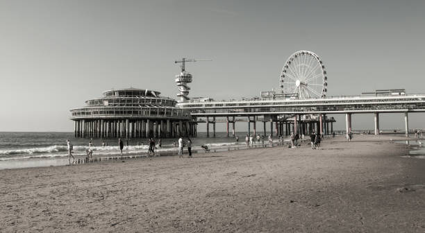 istock pier at a beach at the nortehrn sea 1069678246