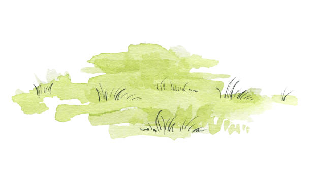 aquarell-grüne wiese - meadow lawn grass landscape stock-grafiken, -clipart, -cartoons und -symbole
