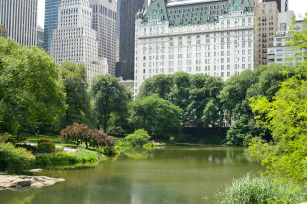 istock A view of a pond in Central Park, New York 1069681628