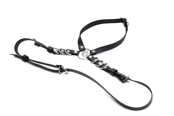 istock Leather belt for girl on white background 1069685306