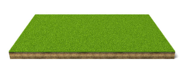 白地に緑の芝生と分離スポーツ フィールドの 3 d レンダリングします。 - short game ストックフォトと画像