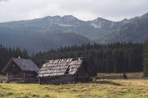 istock old mountain hut with forest and high mountain peaks in the background. farm 1069693398