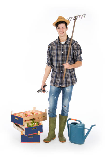 istock Young farmer with work tools and basket with vegetables and fruit 1069699554
