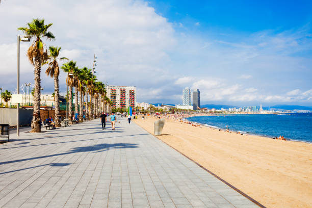 Playa Barceloneta city beach, Barcelona Playa de la Barceloneta city beach in the centre of Barcelona city, Catalonia region of Spain barcelona beach stock pictures, royalty-free photos & images