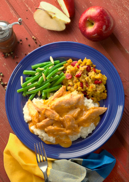 istock Rich Meal with Turkey, mashed Potatoes, Beans and more 1069704120