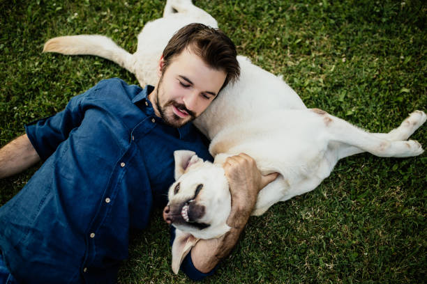 istock Guy and his dog, labrador retriever, courtyard 1069714142