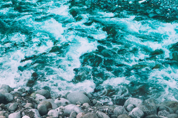 istock Pine tree forest river flows through the rocks. Beautiful powerful rapid steam of the mountain river flows between pebbles rocks. 1069714646