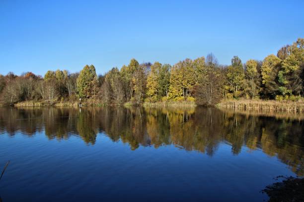 istock A view of Alderford Lake with reflection 1069729342