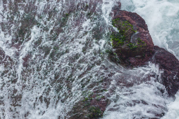istock HIGH ANGLE VIEW OF ROCKS ON SEA SHORE 1069731696