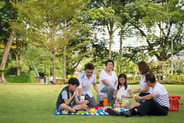 istock Multi-generational family picnicking in a park 1069739616
