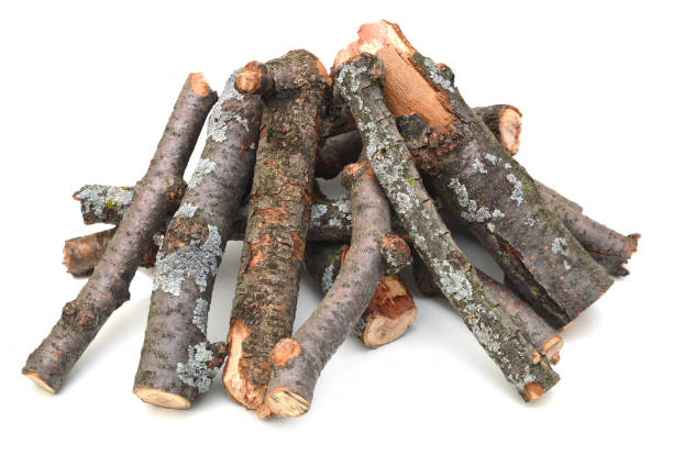 istock The logs of fire wood 1069740982
