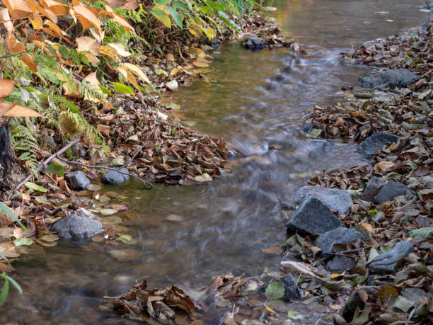 istock The course of the water 1069740986
