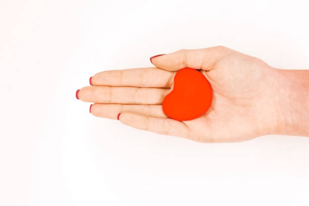istock Girl's hand holding a red heart on a white background 1069743154