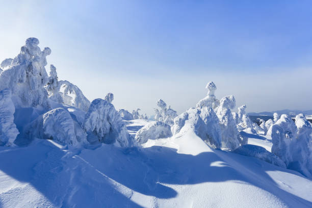 istock High on the mountains, on the lawn stand trees covered with snow, which look as ice sculptures. Textured forms. Landscape in a winter cold day. Light shines in the snow. 1069744522