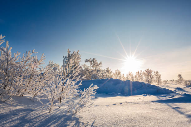 istock Winter landscape with snow-covered trees and sun, Norway 1069747294