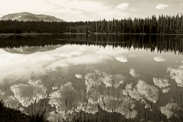 istock Dog Lake landscape 1069750348