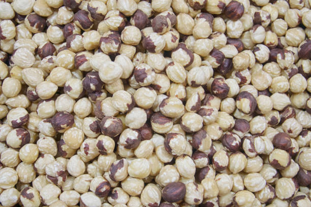 istock Lot of hazel-nut texture of food without shell 1069751876