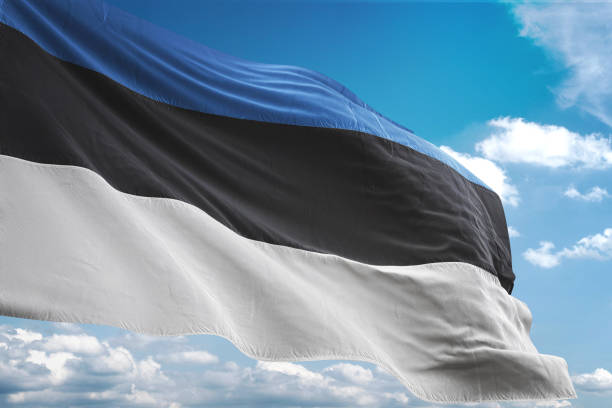 에스토니아 깃발 흔들며 흐린 하늘 배경 - estonia flag pennant baltic countries 뉴스 사진 이미지