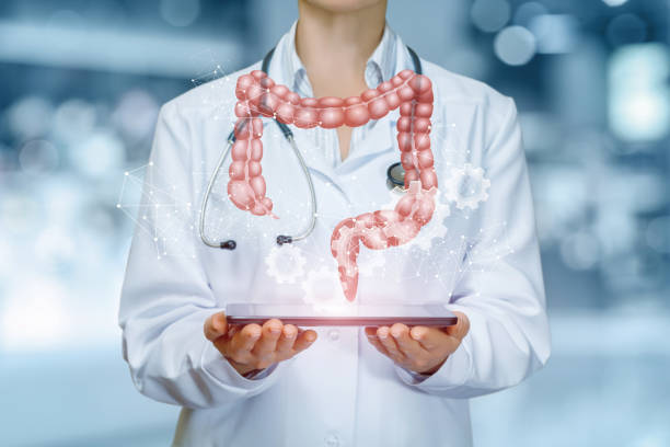 An intestines model is hanging above a device in doctor's hands . An intestines model is hanging above a device in doctor's hands at a hospital background. The concept is the professional internal organs treatment. human intestine photos stock pictures, royalty-free photos & images