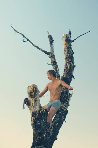 istock guy without a shirt was Sarbala high on a dead tree, sat down between the boughs and waving gripped in the hands of a rope 1069764684