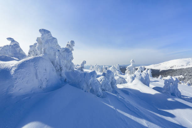 istock High on the mountains, on the lawn stand trees covered with snow, which look as ice sculptures. Textured forms. Landscape in a winter cold day. Light shines in the snow. 1069767584
