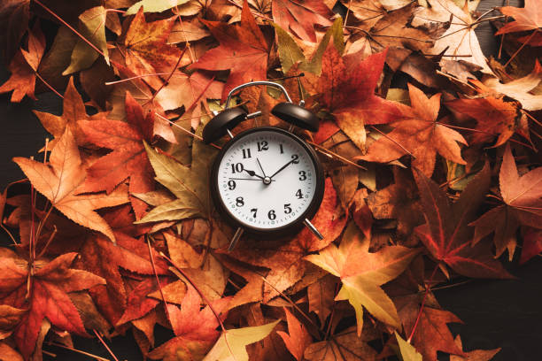 Autumn season time, alarm clock in dry fall leaves stock photo