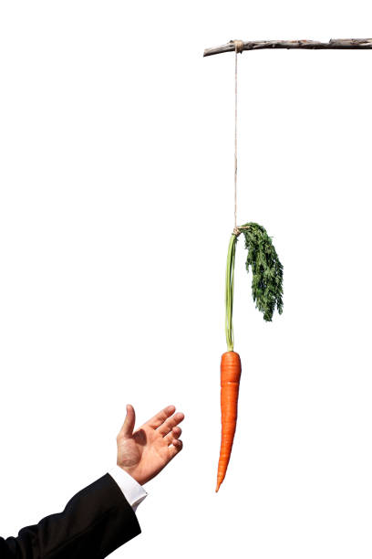 istock Businessman reaching for a carrot isolated all white 1069788930
