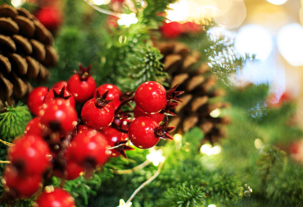 istock Christmas tree with red berries and cones. Concept New Year celebration background. Closeup photo of christmas tree decorated with red berries and cones. New Year card 1069800222