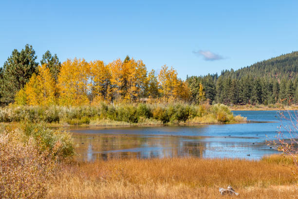 озеро с осенними цветами в высокой сьерре - 3683 стоковые фото и изображения