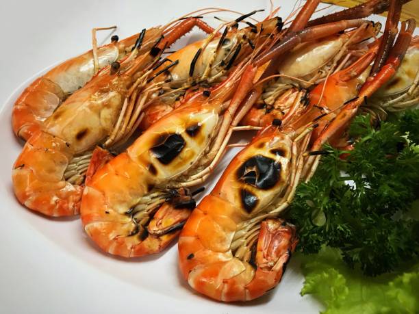 istock Grilled prawns on white dish closed up background 1069804216